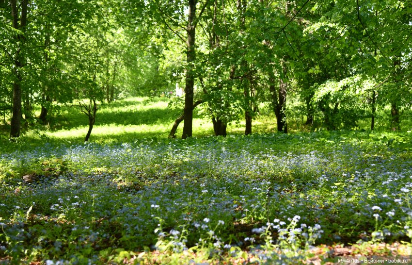 Пушкинский Праздник в Берново 2022 год, продолжение