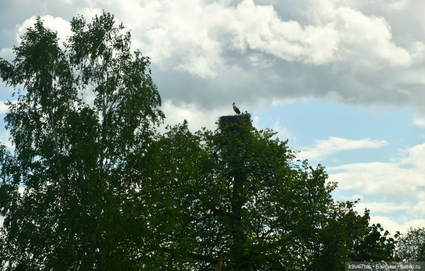 Пушкинский Праздник в Берново 2022 год, заключительная часть