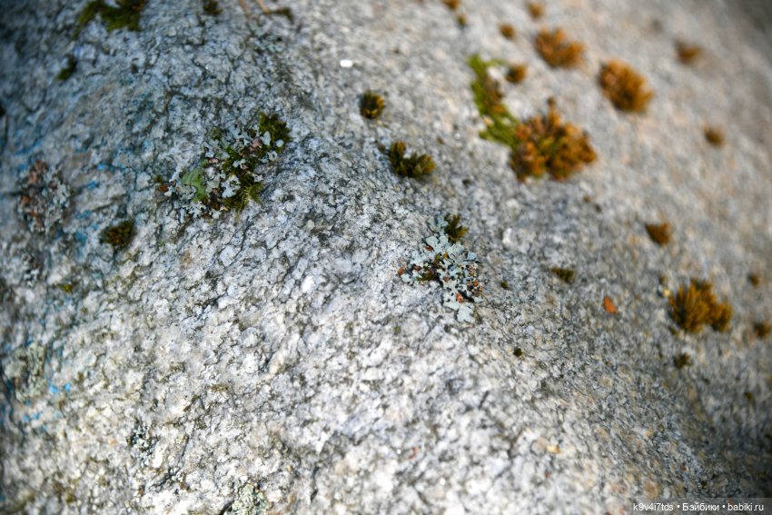 Июльская прогулка в "Саду Камней"