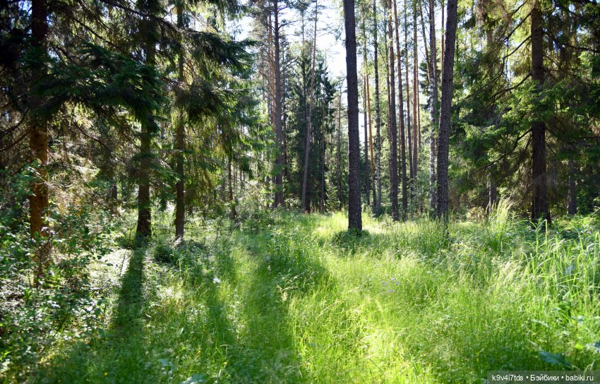 Васильковый Июль — Куклы Irrealdoll (Ирреалдолл): BJD (БЖД)