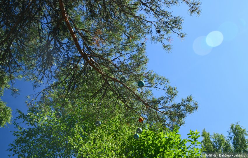Июльская прогулка в "Саду Камней" (фото 9)