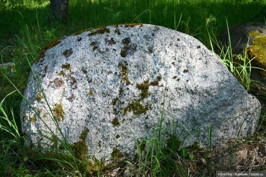 Июльская прогулка в "Саду Камней"