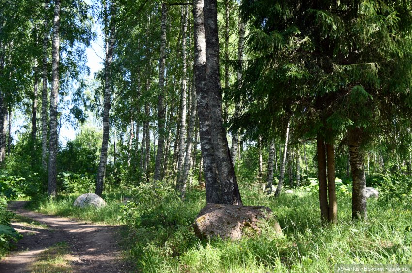 Июльская прогулка в "Саду Камней"