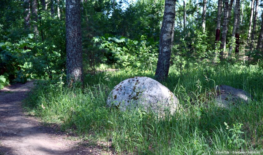 Июльская прогулка в "Саду Камней"