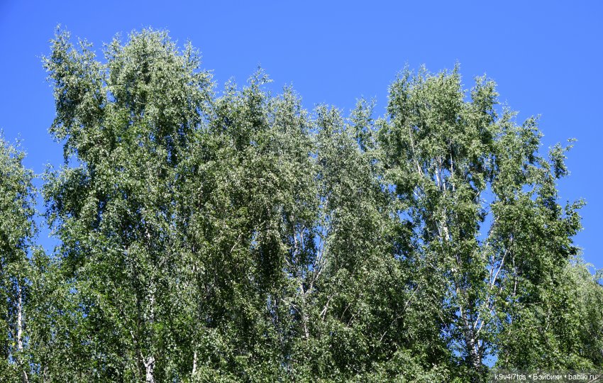 Июльская прогулка в "Саду Камней"