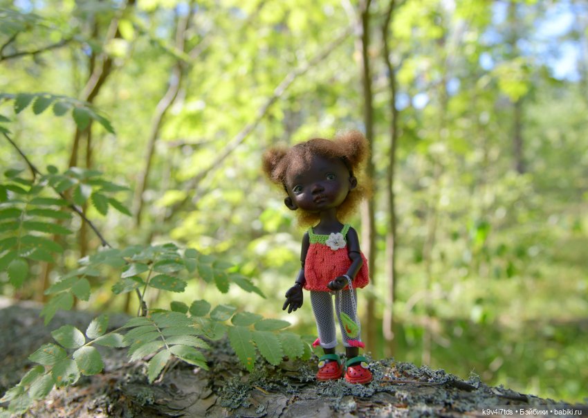 Полевые цветы — Куклы Irrealdoll (Ирреалдолл): BJD (БЖД)