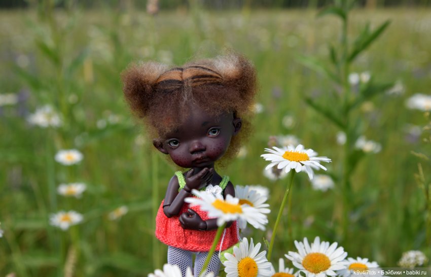 Полевые цветы — Куклы Irrealdoll (Ирреалдолл): BJD (БЖД)
