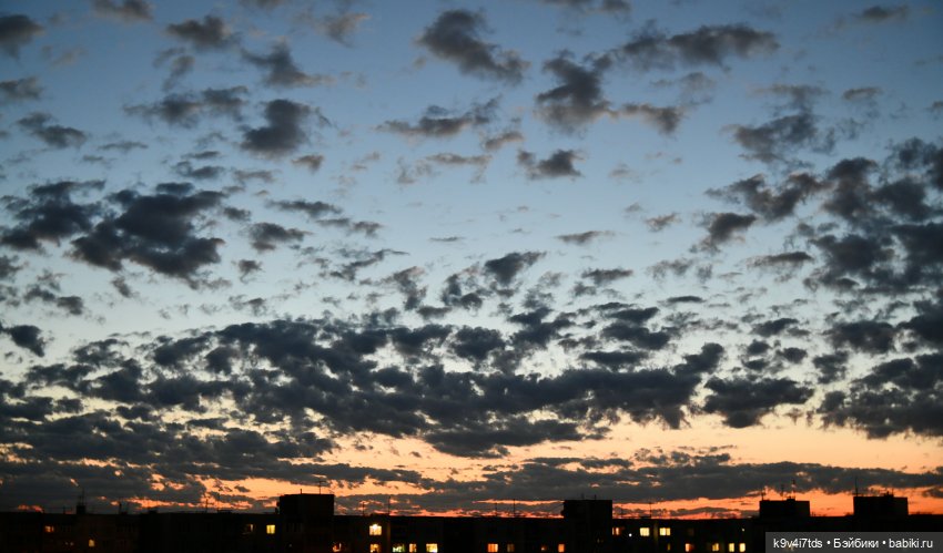 Полевые цветы — Куклы Irrealdoll (Ирреалдолл): BJD (БЖД)