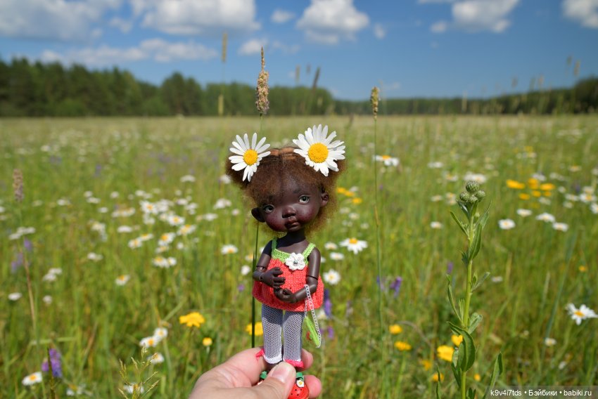 Полевые цветы — Куклы Irrealdoll (Ирреалдолл): BJD (БЖД)