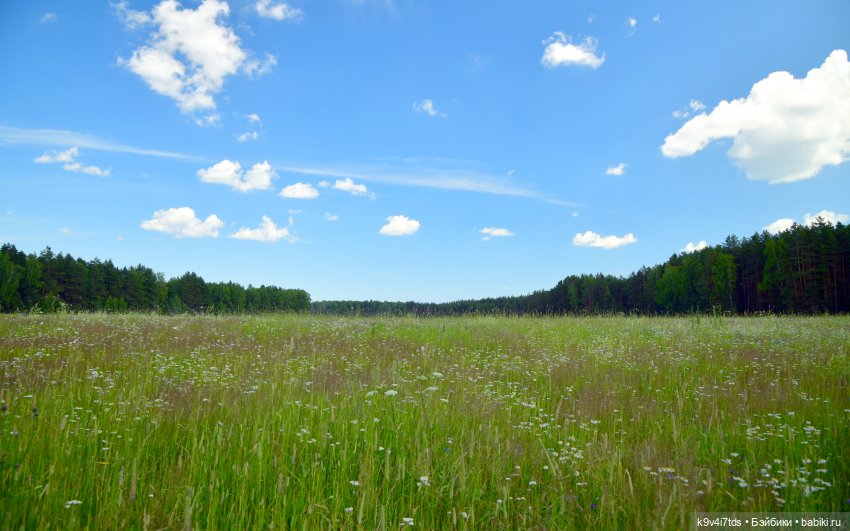 Полевые цветы — Куклы Irrealdoll (Ирреалдолл): BJD (БЖД)