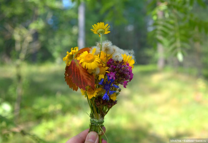 Полевые цветы — Куклы Irrealdoll (Ирреалдолл): BJD (БЖД)