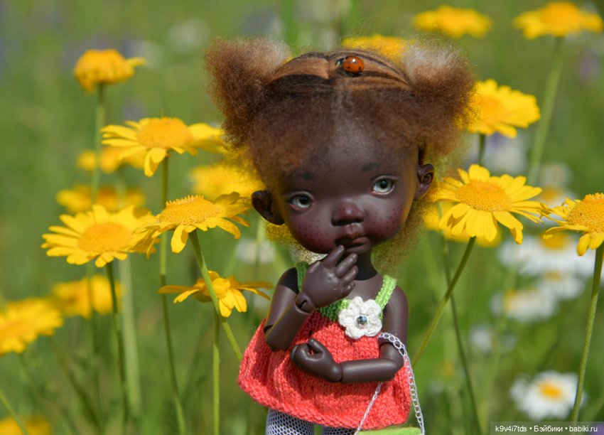 Полевые цветы — Куклы Irrealdoll (Ирреалдолл): BJD (БЖД) (фото 9)