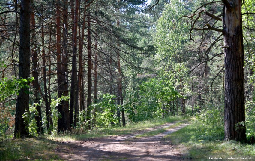 Полевые цветы — Куклы Irrealdoll (Ирреалдолл): BJD (БЖД)