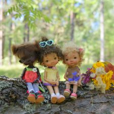 Полевые цветы