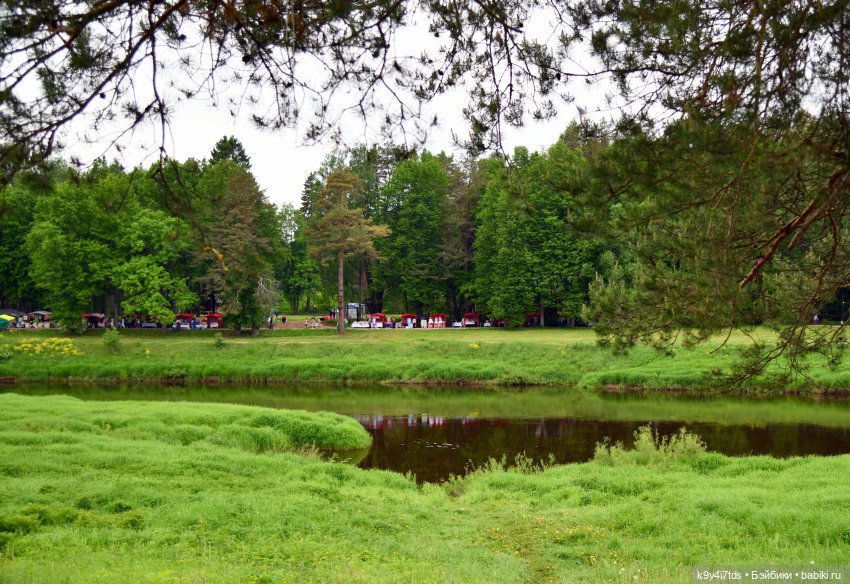 "Троицкие гуляния" в Василёво 2022 год, "В Троицкий венок всяк вплетай свой цветок"
