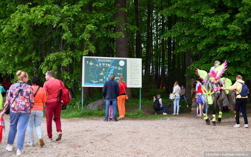 "Троицкие гуляния" в Василёво 2022 год, "В Троицкий венок всяк вплетай свой цветок" (фото 6)