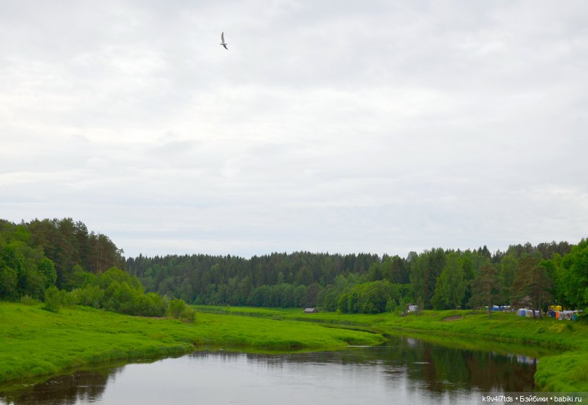 "Троицкие гуляния" в Василёво 2022 год, "В Троицкий венок всяк вплетай свой цветок" (фото 3)