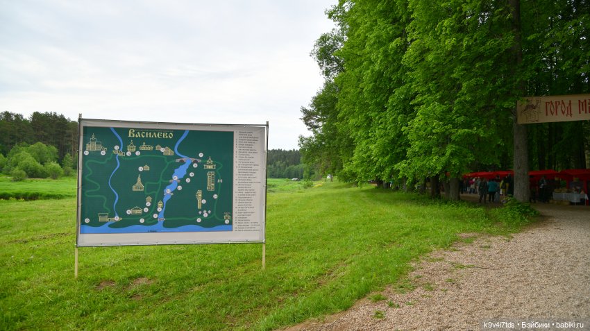 "Троицкие гуляния" в Василёво 2022 год, "В Троицкий венок всяк вплетай свой цветок" (фото 8)