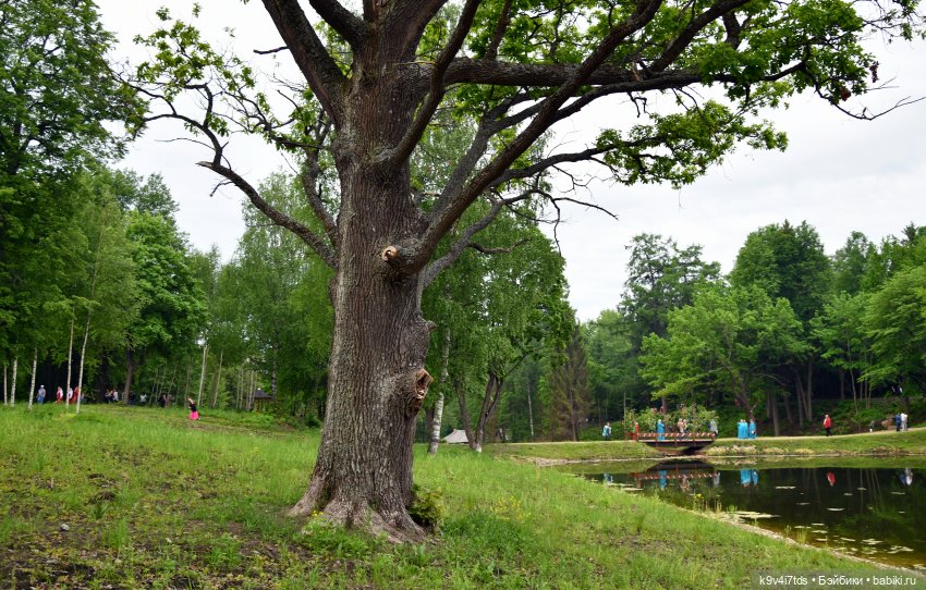 "Троицкие гуляния" в Василёво 2022 год, "В Троицкий венок всяк вплетай свой цветок", продолжение