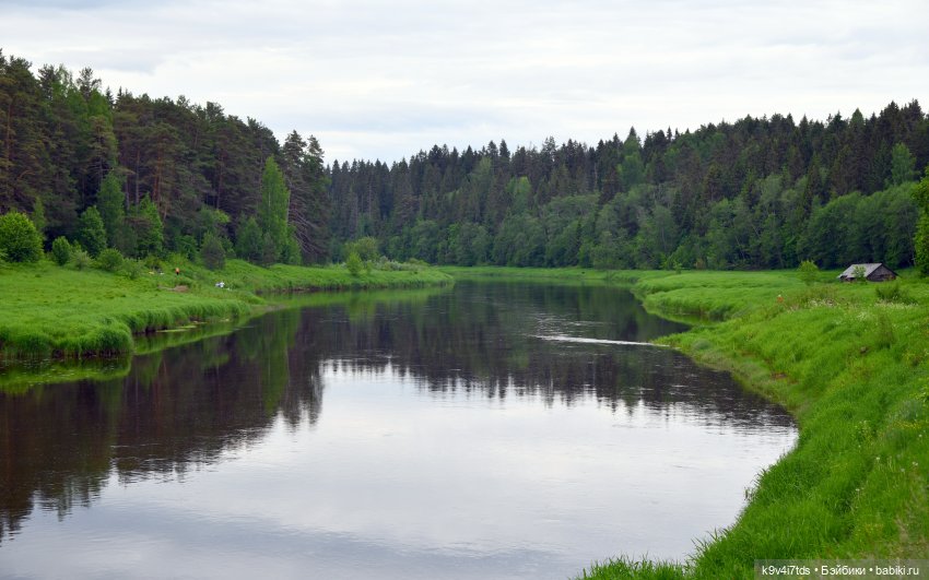 "Троицкие гуляния" в Василёво 2022 год, "В Троицкий венок всяк вплетай свой цветок", продолжение
