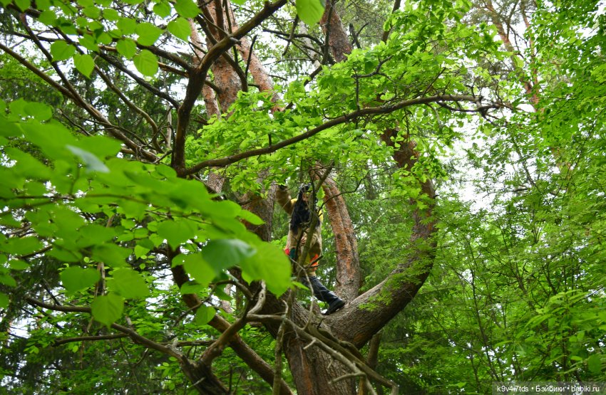 "Троицкие гуляния" в Василёво 2022 год, "В Троицкий венок всяк вплетай свой цветок", продолжение