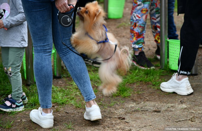 "Троицкие гуляния" в Василёво 2022 год, "В Троицкий венок всяк вплетай свой цветок", продолжение