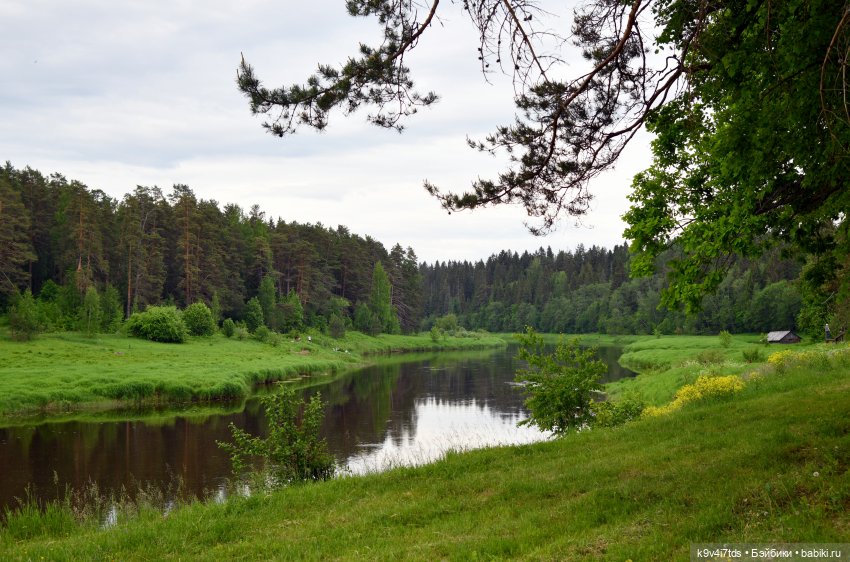 "Троицкие гуляния" в Василёво 2022 год, "В Троицкий венок всяк вплетай свой цветок", продолжение