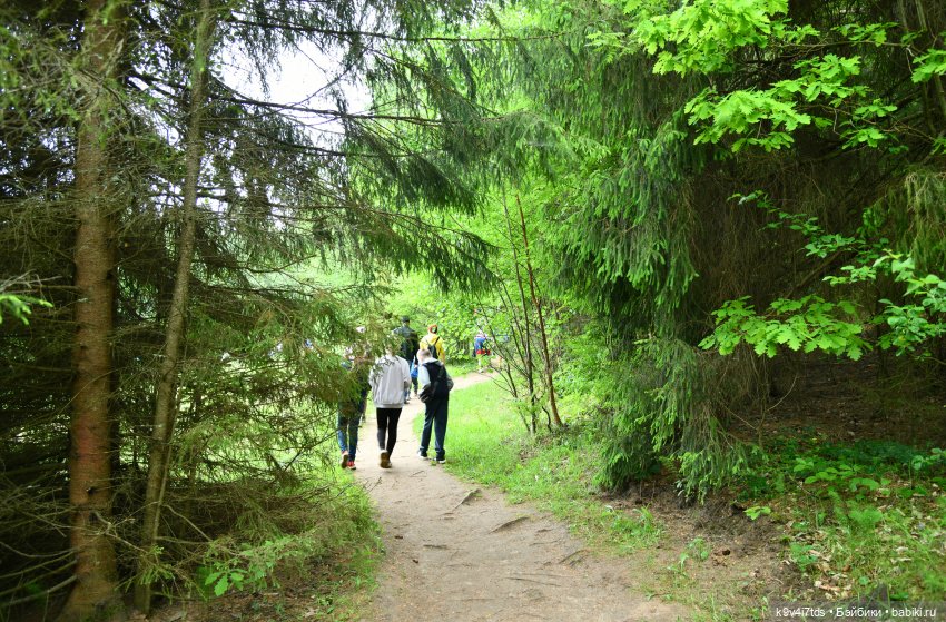 "Троицкие гуляния" в Василёво 2022 год, "В Троицкий венок всяк вплетай свой цветок", продолжение
