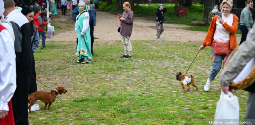 "Троицкие гуляния" в Василёво 2022 год, "В Троицкий венок всяк вплетай свой цветок", продолжение
