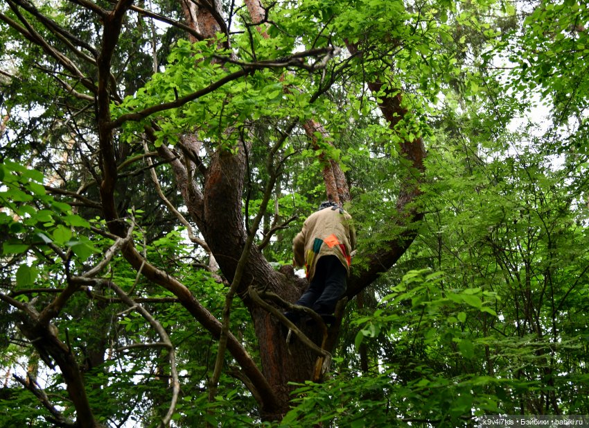 "Троицкие гуляния" в Василёво 2022 год, "В Троицкий венок всяк вплетай свой цветок", продолжение