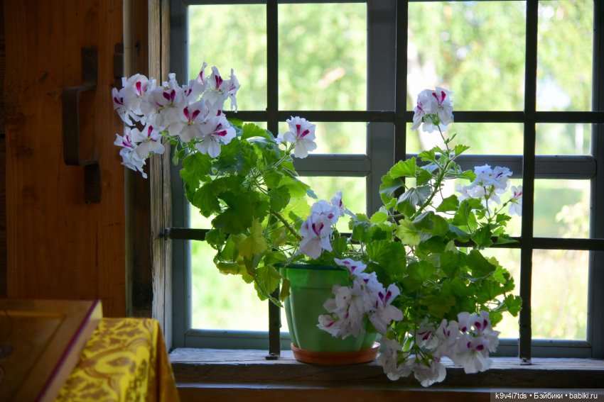 Путешествие в Торжок, первая часть