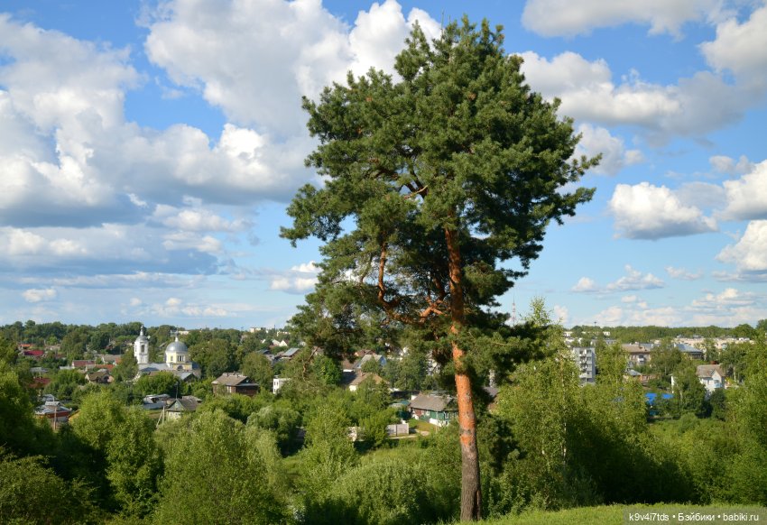 Путешествие в Торжок, первая часть (фото 10)