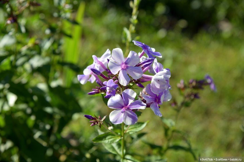 Путешествие в Торжок, первая часть