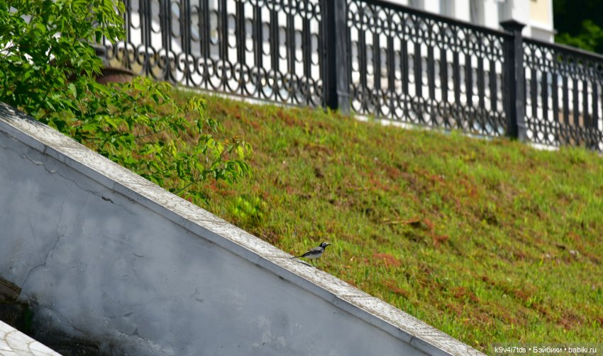 Путешествие в Торжок, вторая часть (фото 10)