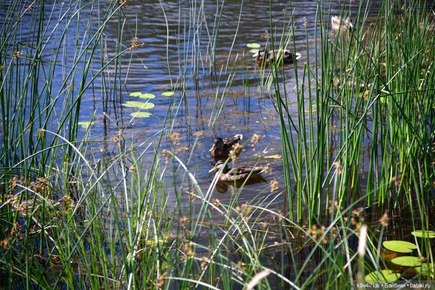 Путешествие в Торжок, вторая часть (фото 8)