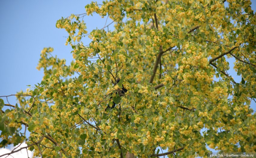 Путешествие в Торжок, третья часть