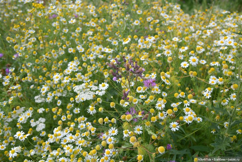 Путешествие в Торжок, третья часть