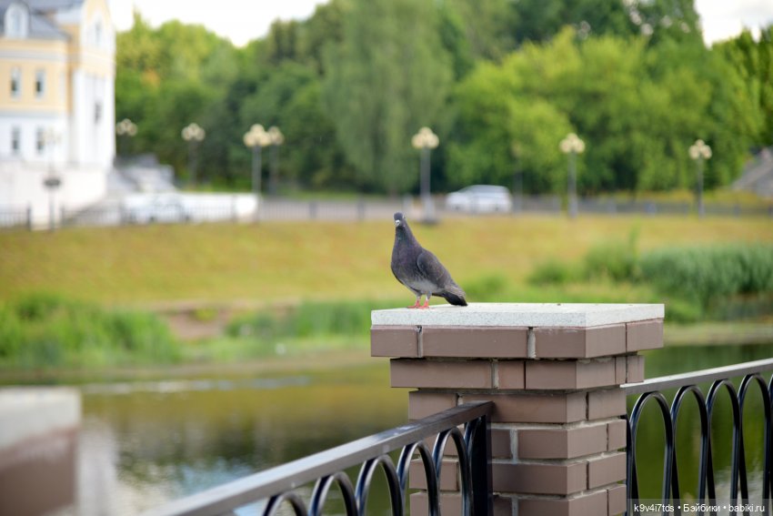 Путешествие в Торжок, третья часть