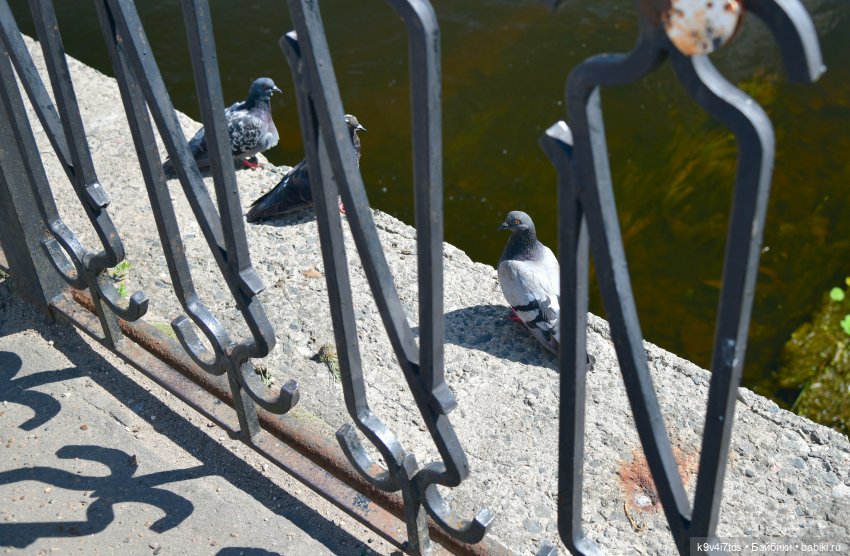 Путешествие в Торжок, третья часть (фото 9)