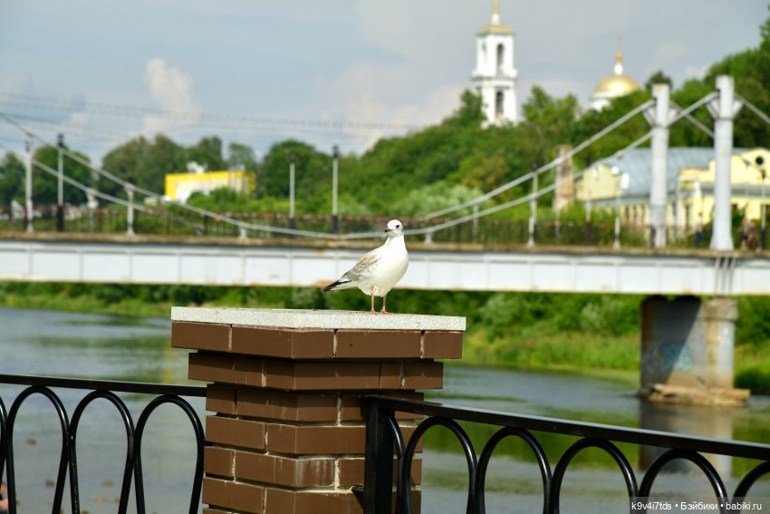 Первое путешествие Изабель | Бэйбики Первое путешествие Изабель