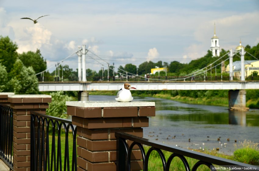 Первое путешествие Изабель | Бэйбики Первое путешествие Изабель