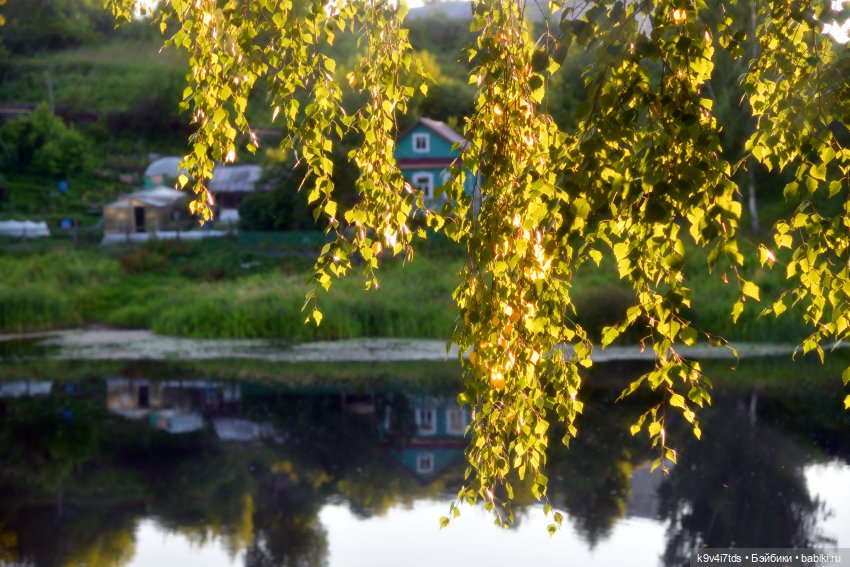 Первое путешествие Изабель | Бэйбики Первое путешествие Изабель