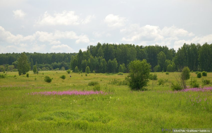 Вижу Чудное Приволье — Культура (фото 3)