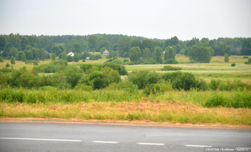 Вижу Чудное Приволье — Культура