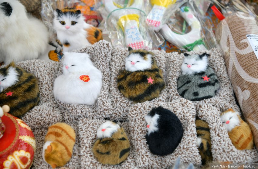 Вижу Чудное Приволье — Культура (фото 7)