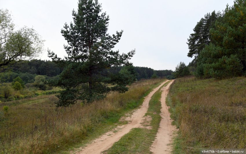 Воскресная прогулка на Тьме (фото 6)