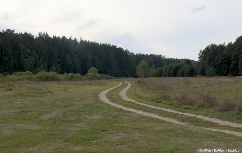 Воскресная прогулка на Тьме