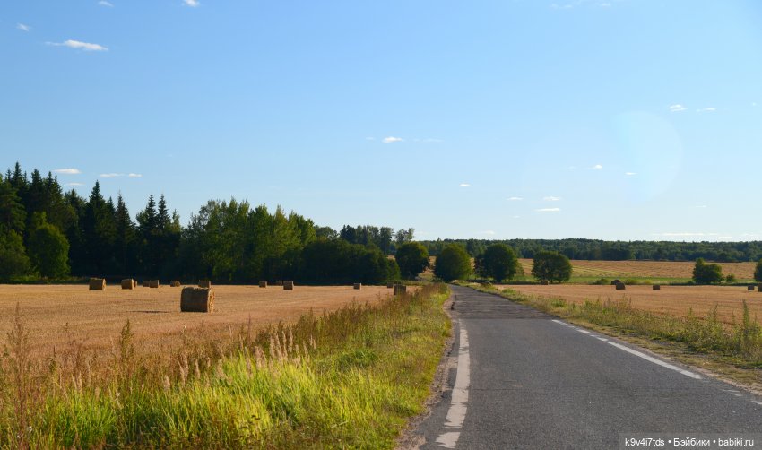 Чудное приволье — Куклы Barbie (Барби): Looks