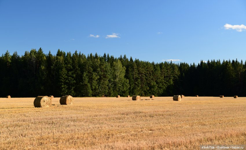 Чудное приволье — Куклы Barbie (Барби): Looks (фото 2)