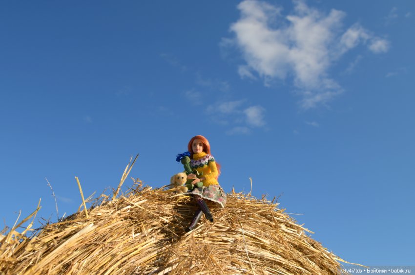 Чудное приволье — Куклы Barbie (Барби): Looks